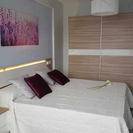 Apartamento Con Terraza Y Piscina C