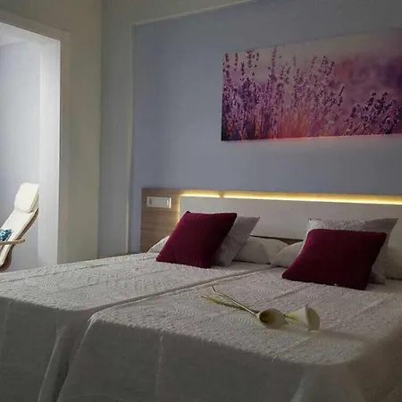 Apartamento Con Terraza Y Piscina C Apartment